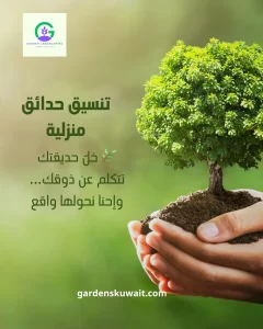 تنفيذ حدائق الكويت